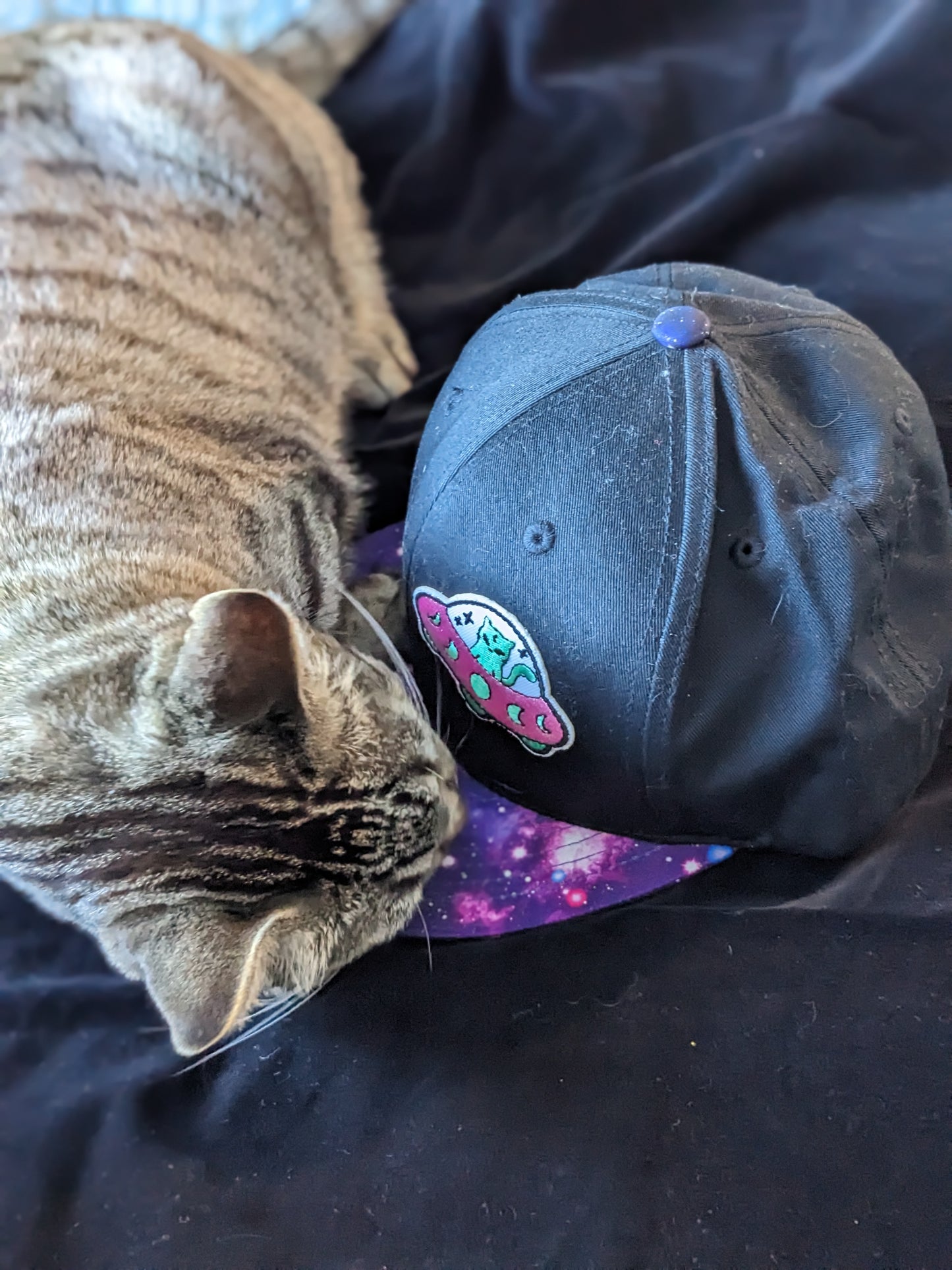 Cat in Space Cap